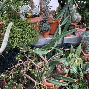 Meet your Posher, Sadie